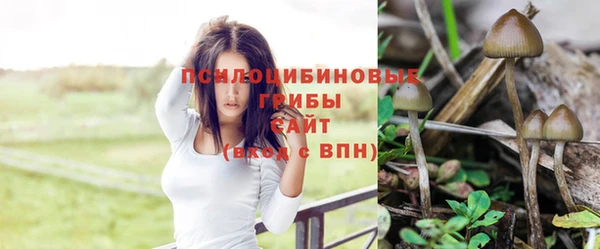 spice Баксан