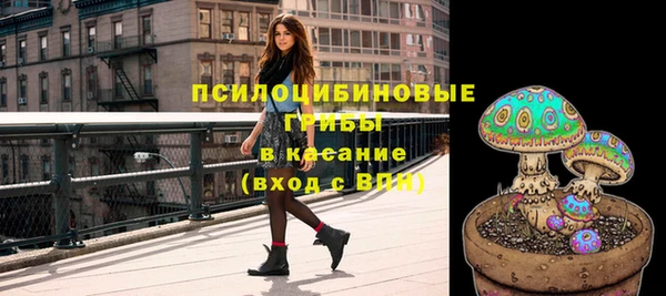 spice Баксан